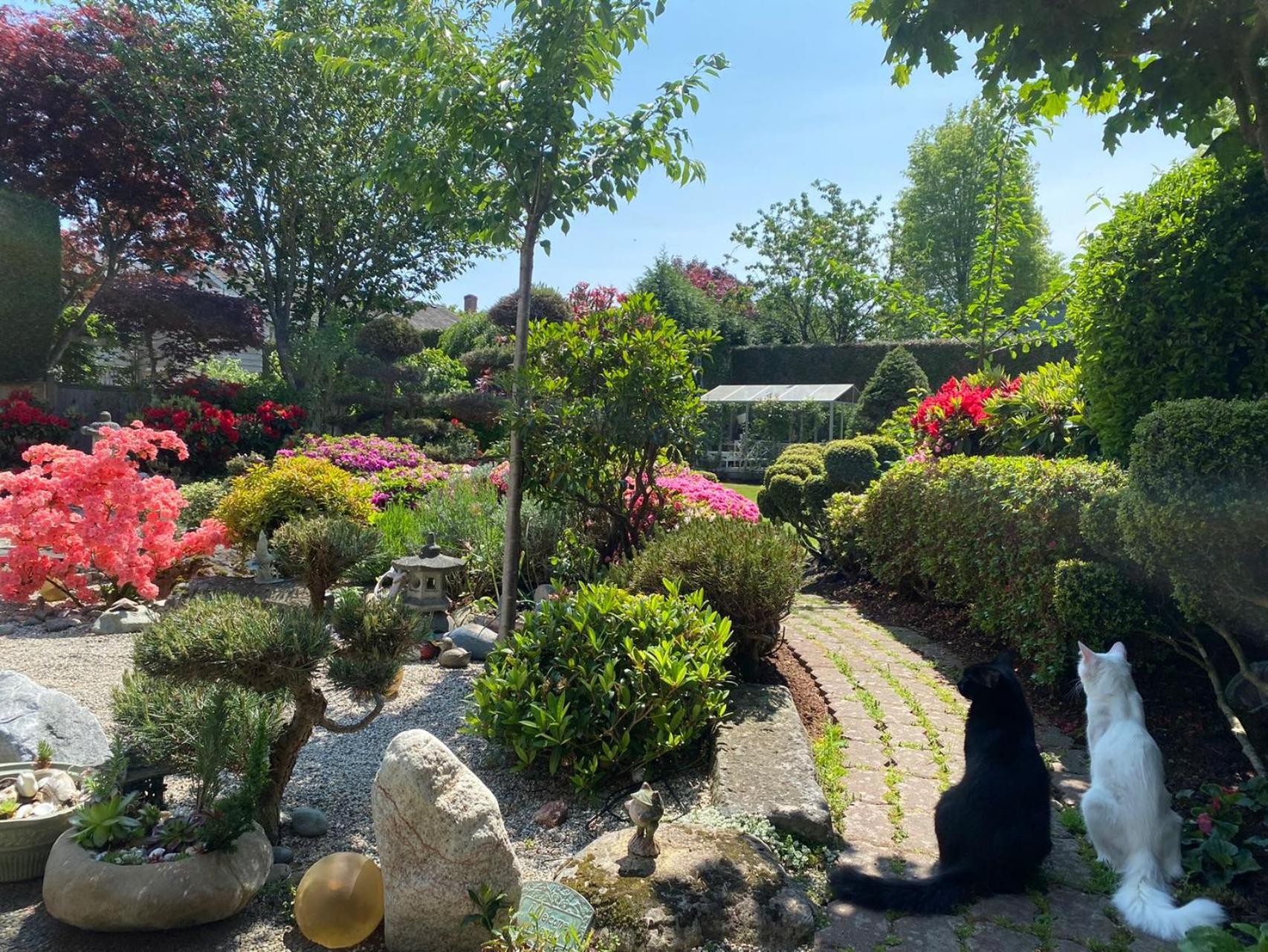 Homestay Sweet Richmond